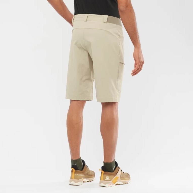 Khaki Salomon Wayfarer Men's Shorts | IE SR6018